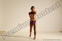 Elmer - Traditional Korean Art